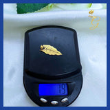 18K Real Solid Gold Alocasia Leaf Necklace 18 ”